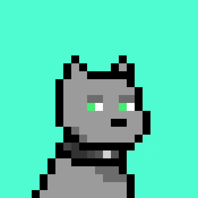 Doginal Dog #6623